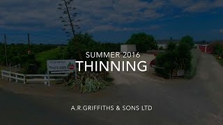 Thinning Summer 2016