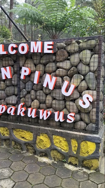 Hutan Pinus Limpakuwus Purwokerto Seger Udara Oksigenya
