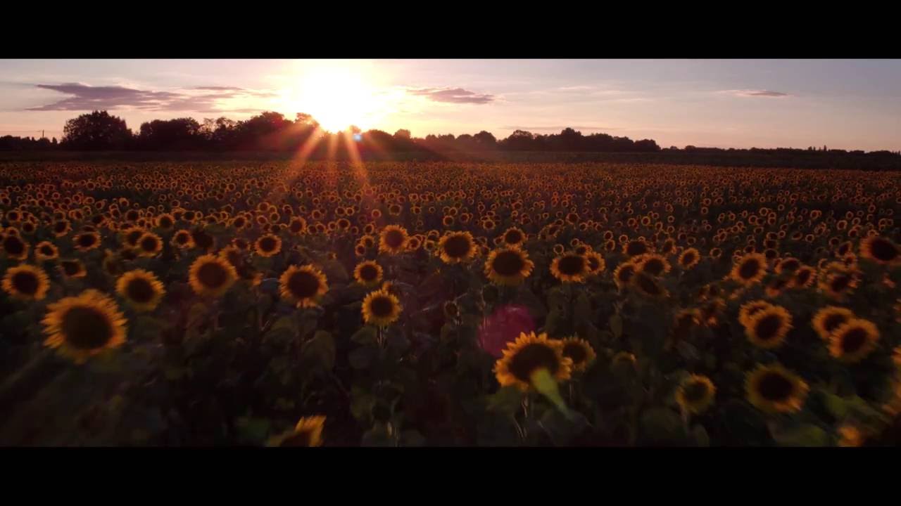 Aerial footage for special documentary