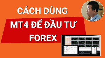 Metarader 4 là gì? Sử Dụng Phần Mềm MT4, MT5 Để Đầu Tư Forex Như Nào?