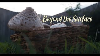 Beyond the Surface