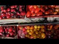 "Сибирский десант" - семена томатов на все случаи жизни! Ольга Чернова.