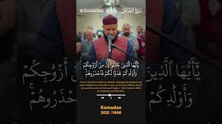 ومن يؤمن بالله يهد قلبه 🤍 سورة التغابن | الشيخ حاتم فريد الواعر