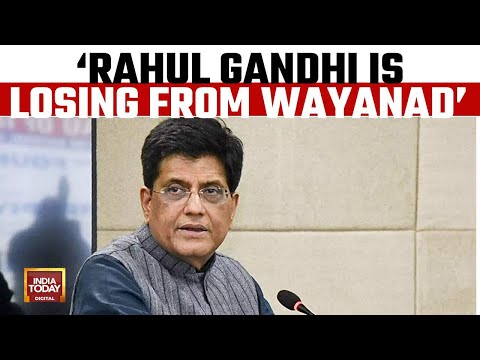 Piyush Goyal challenges Rahul Gandhi to contest against him or Modi 