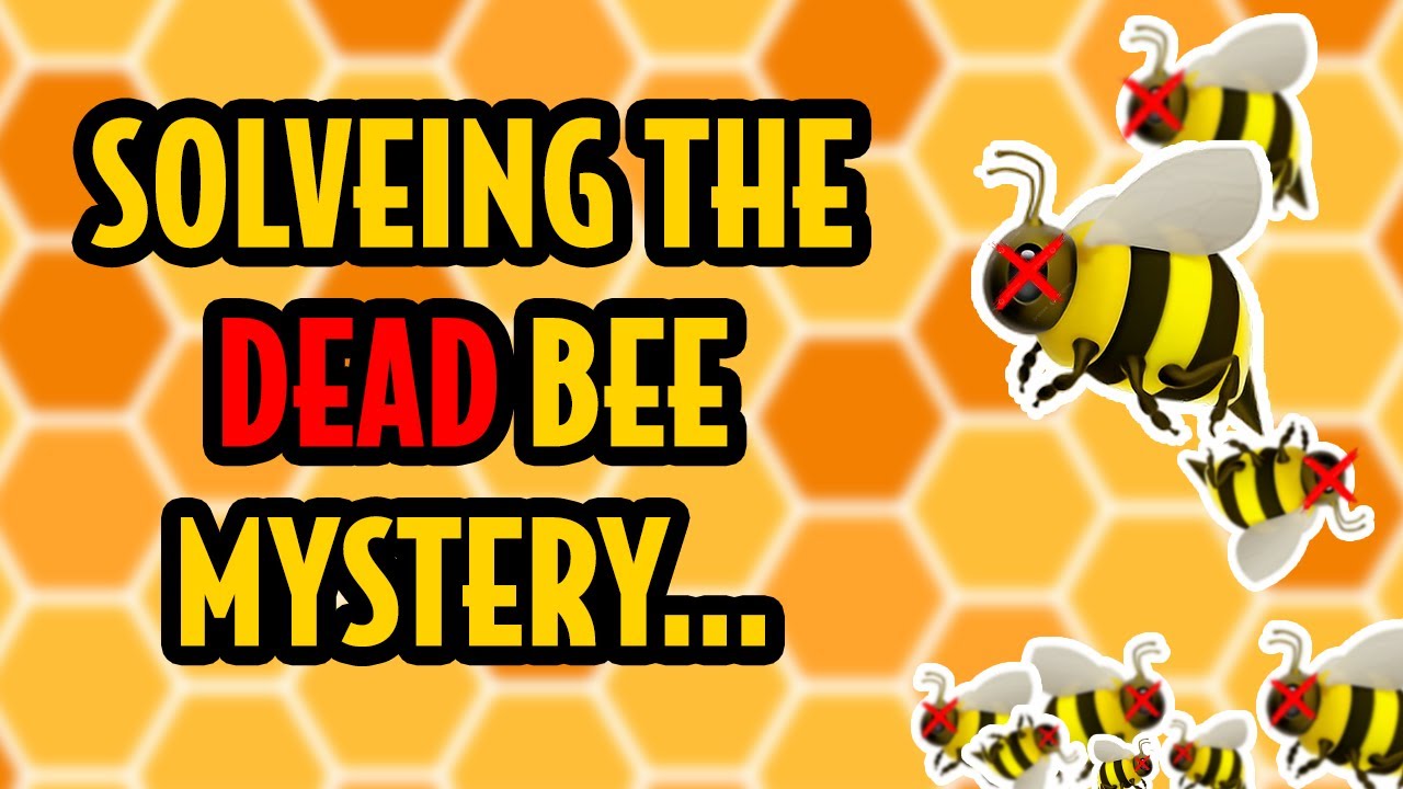 The farm now has BEES!!! (4K)