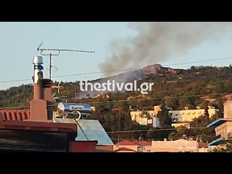 Thestival.gr Φωτιά στα Πεύκα Θεσσαλονίκης