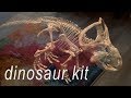 Dinosaur Kit for Magic Leap - AR skeleton building app