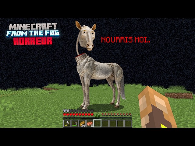 NE FAITES JAMAIS CONFIANCE À CE CHEVAL SUR MINECRAFT..