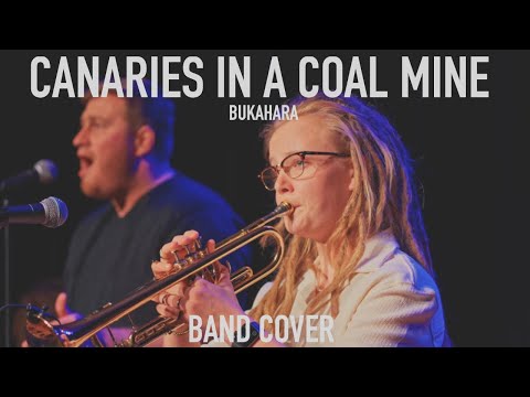 Canaries in a Coal Mine - Bukahara LIVE COVER