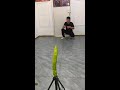 飞牌