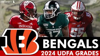 Bengals UDFA Grades: All The UDFA Signings Ft. Aaron Casey, Austin McNamara, Rocky Lombardi by Bengals Breakdown by Chat Sports 3,844 views 4 weeks ago 11 minutes, 18 seconds