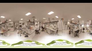 An afternoon in a Plant Energy Biology laboratory - Plant Energy Biology 360° video