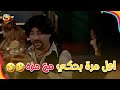 كتكوت أبو الليل في مشهد هيفجر ضحك فصلان كتكوت كتكوت أبو الليل في مشهد هيفجر ضحك فصلان كتكوت