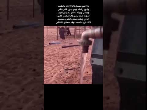 مهذل الصقور