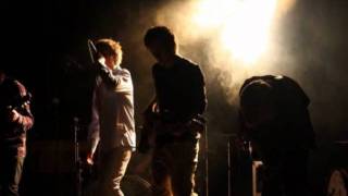 Evolver - New