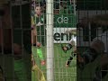 Stindl Magic 🪄