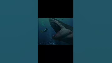 Thumbnail of Things I’m afraid of