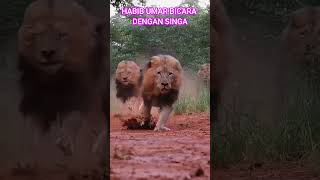Saat Habib Umar Bicara Dengan Singa