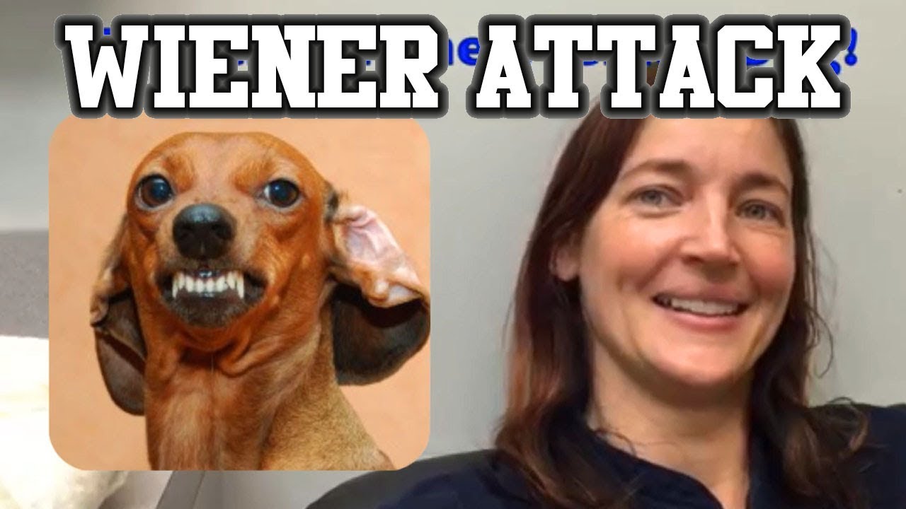 Attack of the Wiener Dog! Sarah's Cellulitis Attack of the Wiener Dog! Sarah's Cellulitis #1