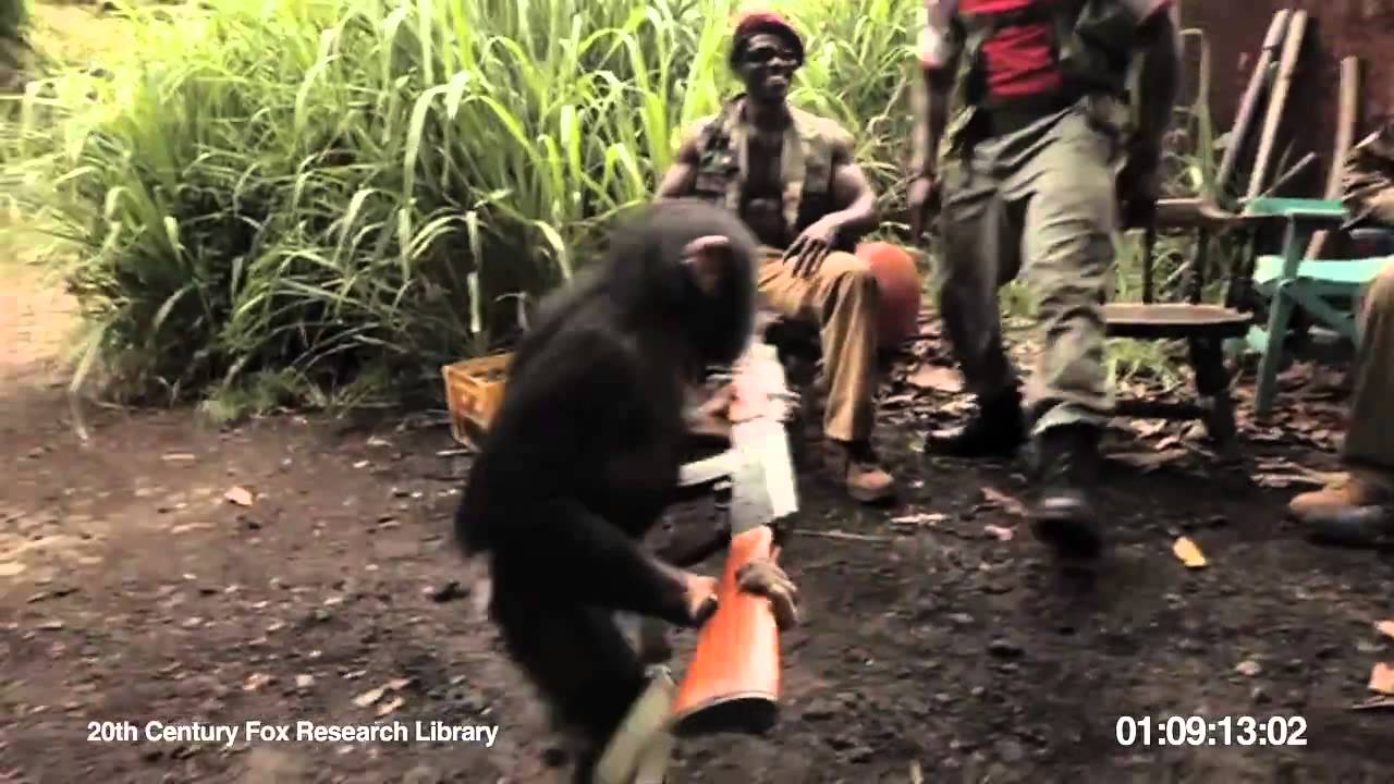 Monkey Shoots AK47 Machine Gun(Χιμπατζής πυροβολεί με Καλάσνικοφ