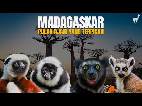 Madagaskar: Benua "Kedelapan" yang Penuh Kejaiban