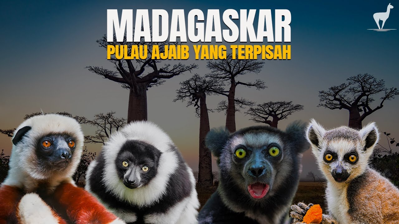 Madagaskar: Benua "Kedelapan" yang Penuh Kejaiban
