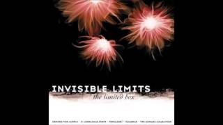 Invisible Limits - Moments (Marions Version)