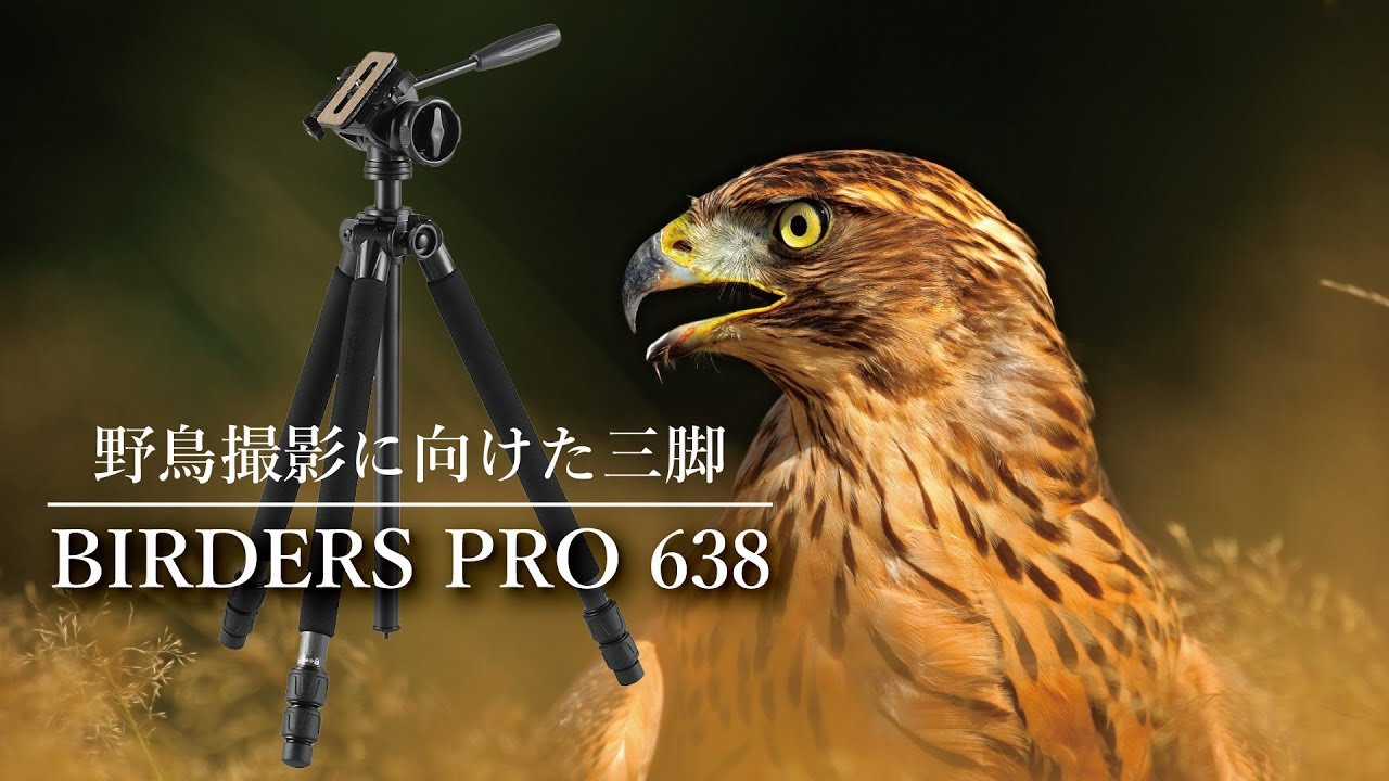 野鳥撮影にこの一台「バーダーズプロ638」 - YouTube
