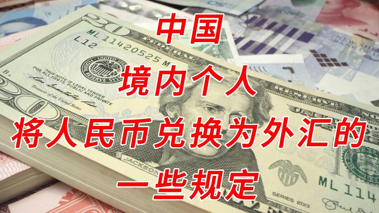 中国境内个人将人民币兑换为外汇的一些规定- YouTube