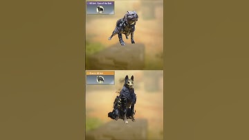 Legendary Vs Epic K9 Unit in CODM 💀