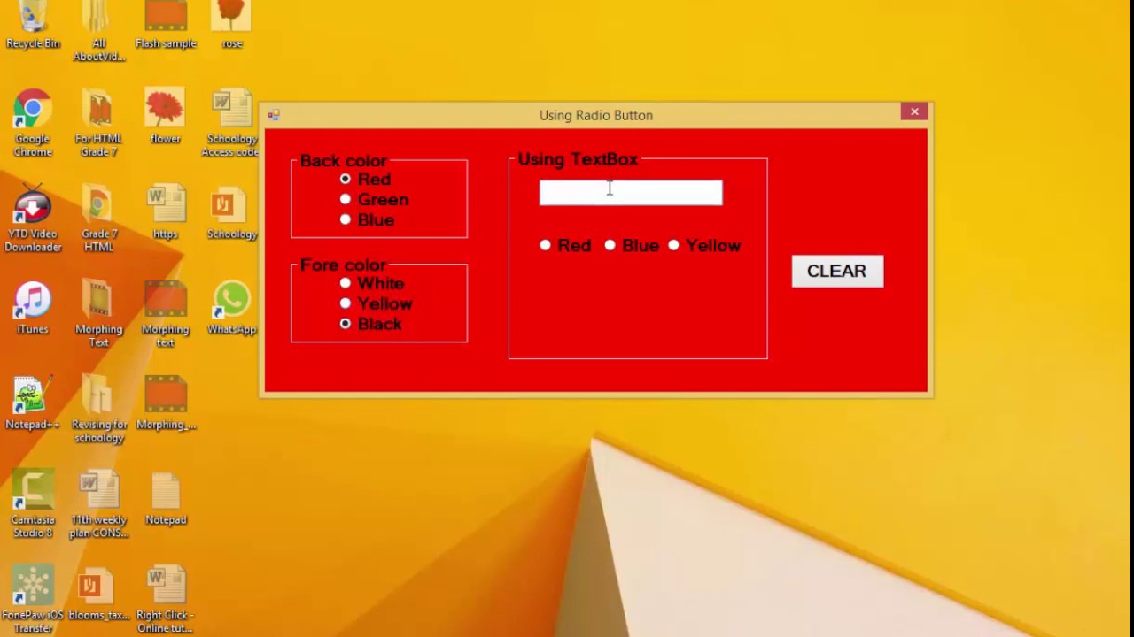 Using Radio Button in Visual Basic 1st Part YouTube