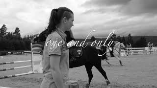 Goodbye, my once in a lifetime pony