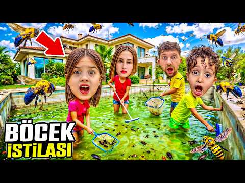 HAVUZU BÖCEKLER ESİR ALDI HEMEN TEMİZLE ‼️