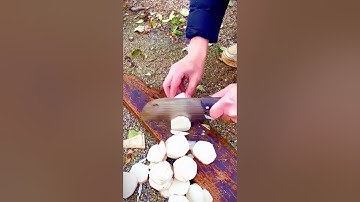 cool skill cut cassava quickly #shorts