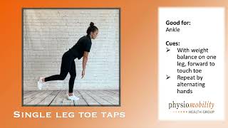 Ankle Functional Single Leg Toe Taps