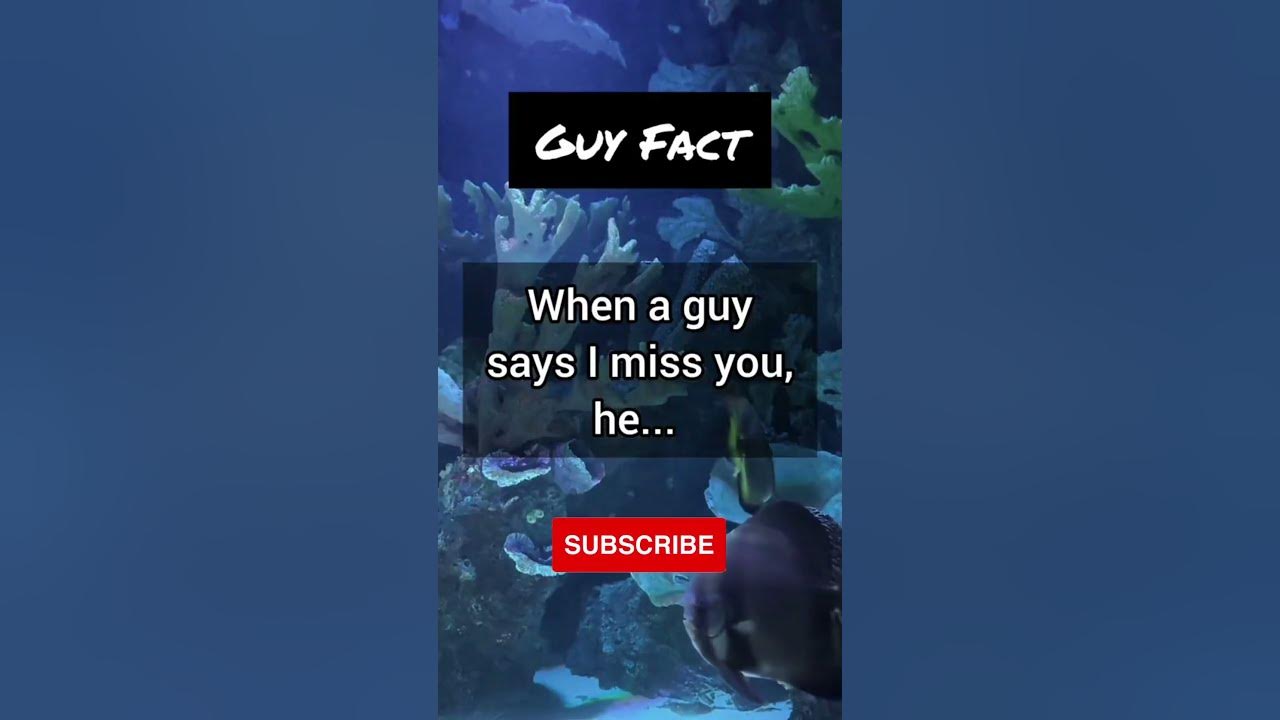 When A Guy Says I Miss You He Psychology Male Fact shorts when-a-guy-says-i-miss-you-he-psychology-male-fact-shorts