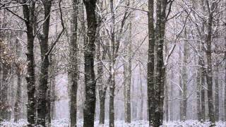 Winter Trees by The Staves piano cover