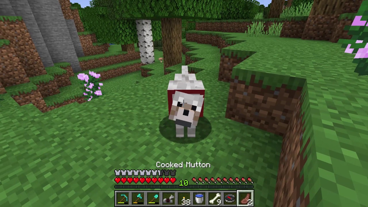 How to get a Dog as a Pet Minecraft YouTube