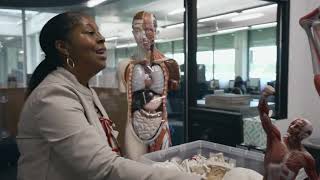 Anatomy in the Library