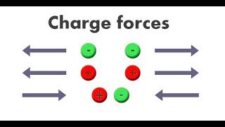 Famous Balloons and Static Electricity | PHET Physics Simulation Demonstration Wealth