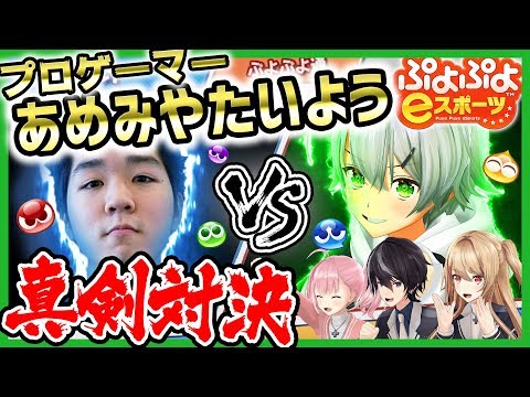 【VSあめみや】ぷよぷよ頂上決戦！プロゲーマーへの第一歩！！【風見涼誕生日】