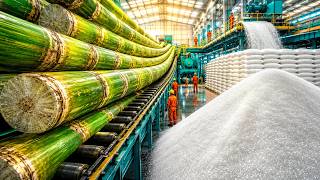 How Millions of Sugarcane Become Premium White Sugar Inside America s Sugar Factory Full Process