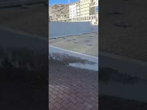 ضريح سيد الوالد الحبيب سلطان العلماء سالم بن عبدالله الشاطري