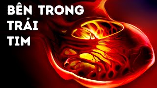 Trái Tim Con Người Là “Động Cơ” Mạnh Nhất Quả Đất screenshot 1