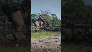 Codys New Project Pony Gave Him A Ride This Morning.