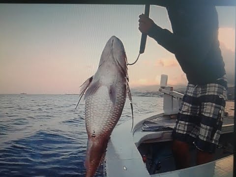 PESCA DALLA BARCA – Grosso dentice corazziere 11,834.54 kg