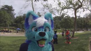 Rose Bowl Fur Meet March 2017