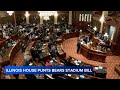 Bears to Indiana? What's next after Illinois House punts stadium bill