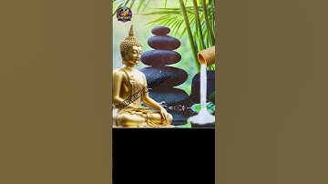 3 Bước Đơn Giản Để Nuôi Dưỡng Hạnh Phúc Bền Vững