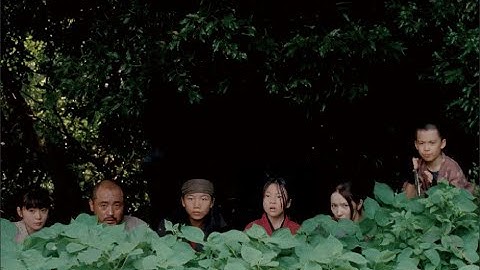 映画『クモとサルの家族』予告編